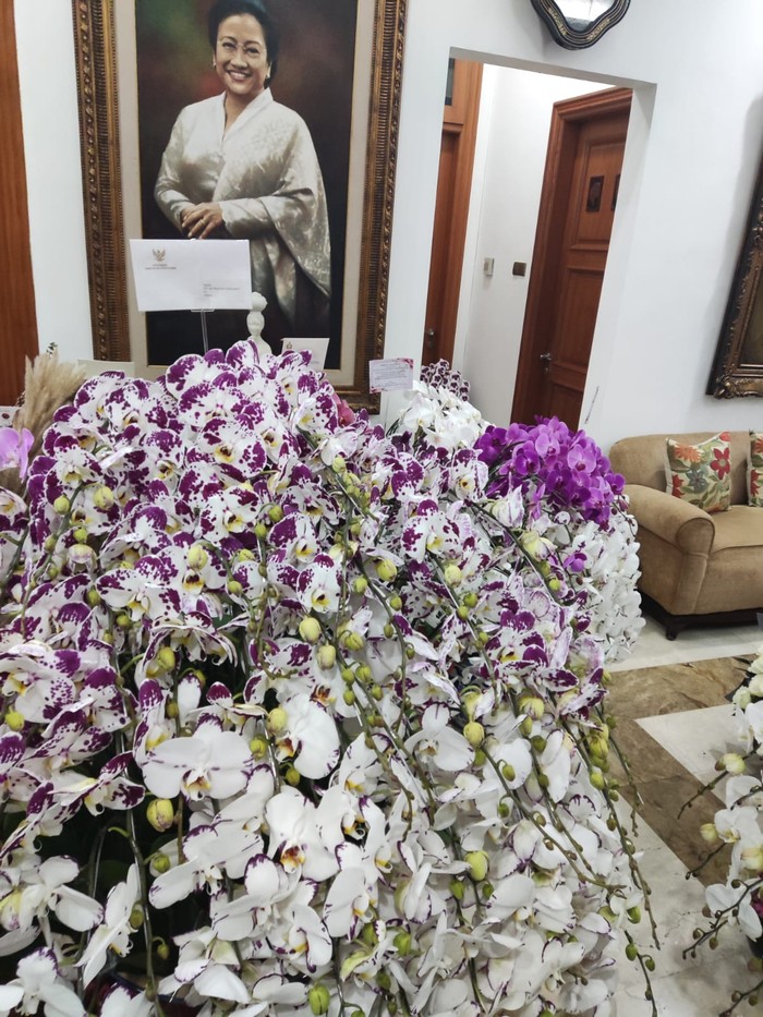 Prabowo Kirimkan Ini Bunga Anggrek  untuk Megawati yang Berulang Tahun